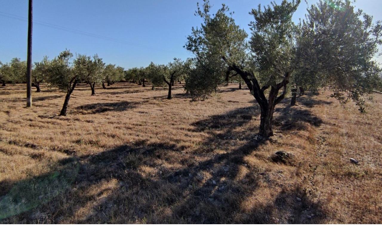 Country house with 4 bedrooms and 3 bathrooms in SAX | Ref: SCH-5269