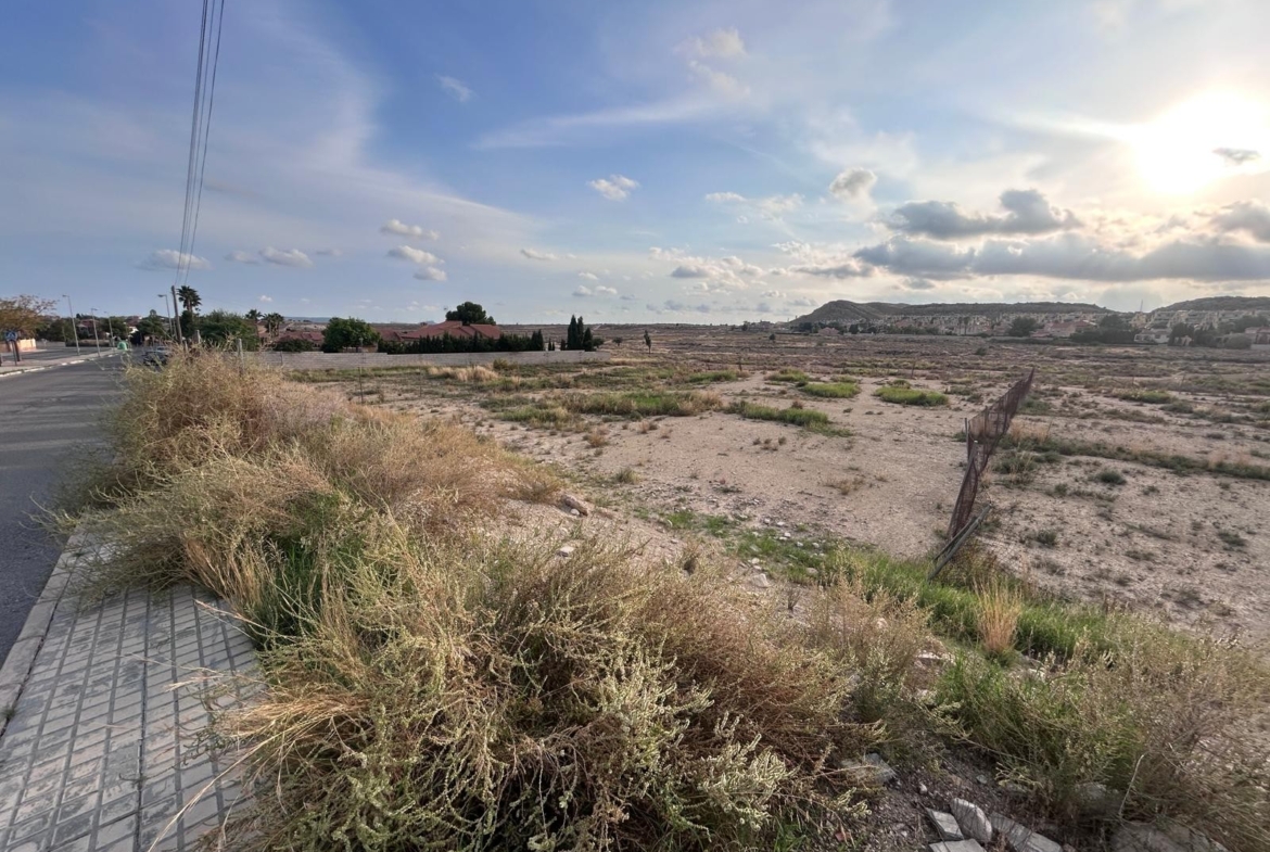 Plot in mutxamel